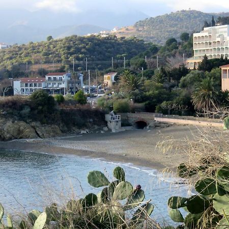 Les Pieds Dans L'Eau Lejlighed Banyuls-sur-Mer Eksteriør billede