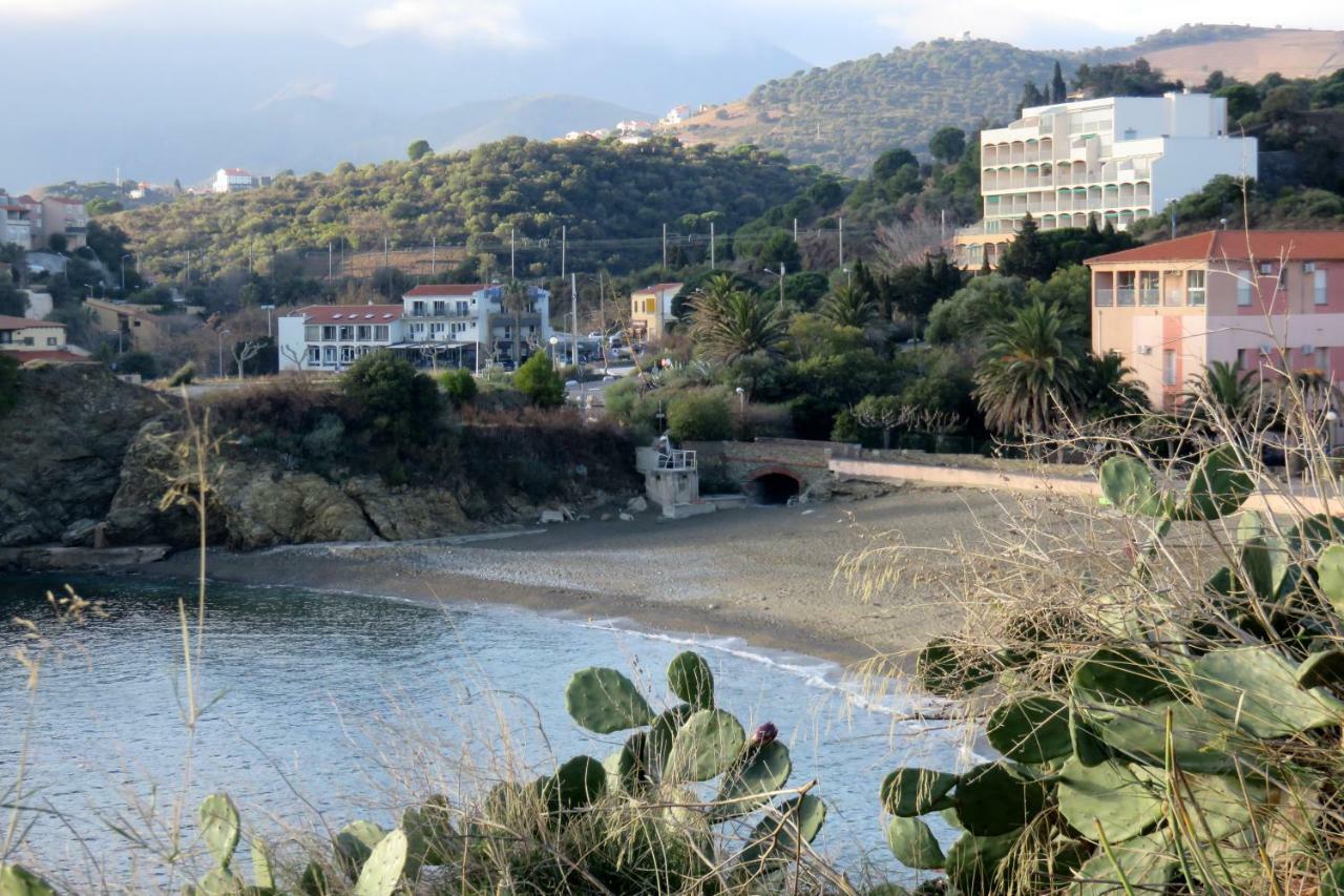 Les Pieds Dans L'Eau Lejlighed Banyuls-sur-Mer Eksteriør billede